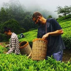 Half Day Spice Valley Tour In Munnar 
